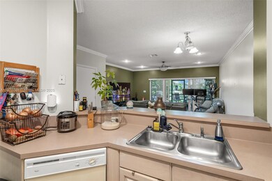 12006 SW 2nd St, Pembroke Pines, FL 33025 - photo 5