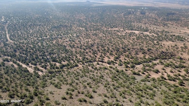 9591 Privette Ln, Snowflake, AZ 85937 - photo 3