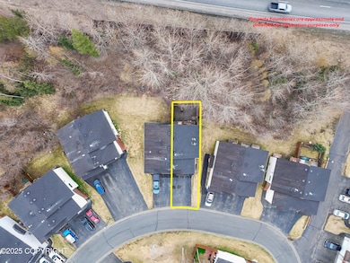 Fenced yard- green space
