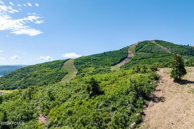 1821 West Galena Ridge Way Lot 47 Summit