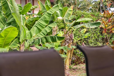 153 Pualei Dr unit 153-6, Lahaina, HI 96761 - photo 7