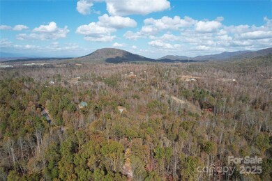 Lot 1 N Carolina 226, Union Mills, NC 28167 - photo 6