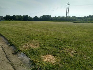 0 Victorian Dr unit B MAR24046779, Steeleville, IL 62288 - photo 3