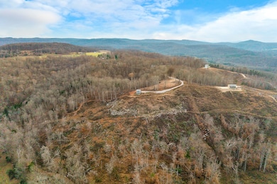 431 Bald Knob Cummings Cove Roads, Doyle, TN 38559 - photo 3