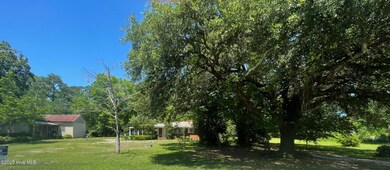IMG_4598