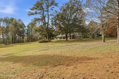 921 S Pearson Rd, Pearl, MS 39208 - photo 2