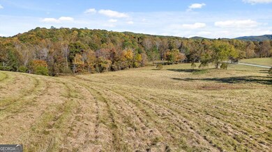 Lot 14 Bravo Way, Talking Rock, GA 30175 - photo 4