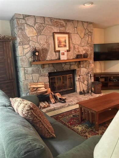 Seasons E-23 I Northbrook Village Way unit E-23, Dover, VT 05356 - photo 3