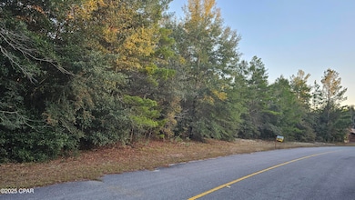 1.28 acres Vistula Dr, Chipley, FL 32428 - photo 4