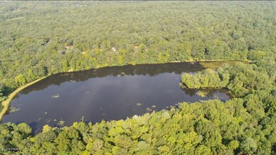 127 Panorama Trail, Dingmans Ferry, PA 18328 - photo 2