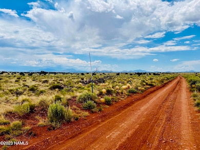 626 N Laguna Dr unit Lot 2, Valle, AZ 86046 - photo 6