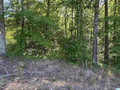 0 Murdock Rd unit 21420317, Attalla, AL 35954 - photo 3