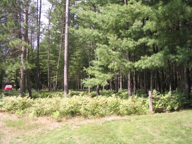 IMG_0013 (4)