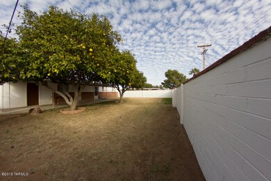 BACKYARD-2