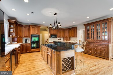 9067 Tower House Place, Alexandria, VA 22308 - photo 4