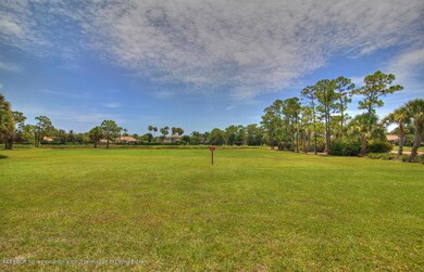Lot 5
