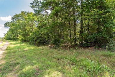 TBD Mountain Rd, Rudy, AR 72952 - photo 7