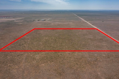 SW4SE4 S Langley Rd, Estancia, NM 87016 - photo 2