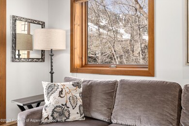 610 S West End St unit D-303, Aspen, CO 81611 - photo 4