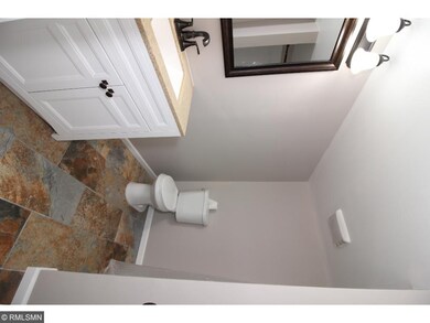 lower level bathroom