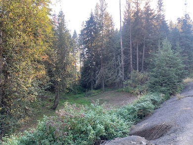 View of wooded area