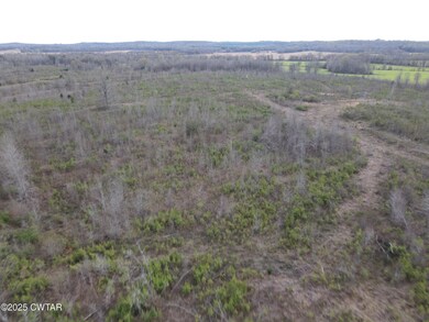 dji_fly_20250325_171042_868_174293707422