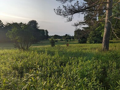 View of the field