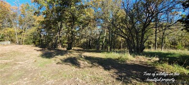 17169 Ft Lyon Rd, Windsor, MO 65360 - photo 5