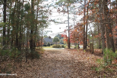 1193 Sabel Loop SE, Lockwoods Folly, NC 28422 - photo 4