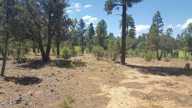 20160628_105603_resized