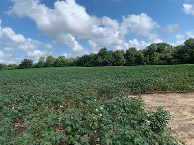 0 N Gordon St, Ashburn, GA 31714 - photo 5