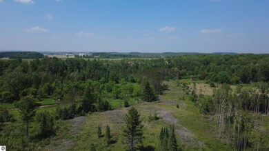 Off of Gallagher Rd, West Branch, MI 48661 - photo 2