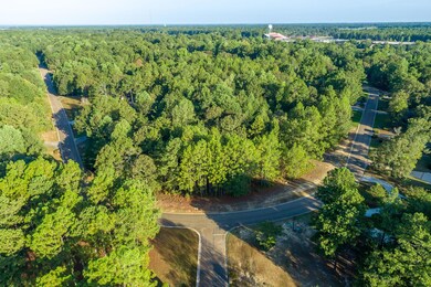 4 Drone View (6 of 9)