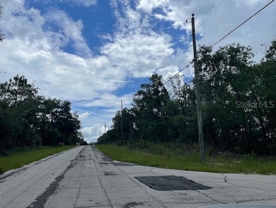 2466 W Rutland Dr, Dunnellon, FL 34434 - photo 2