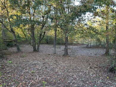 Franklin Dr, Batesville, MS 38606 - photo 6