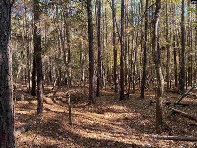 0 Woodthrush Rd, Chapin, SC 29036 - photo 4