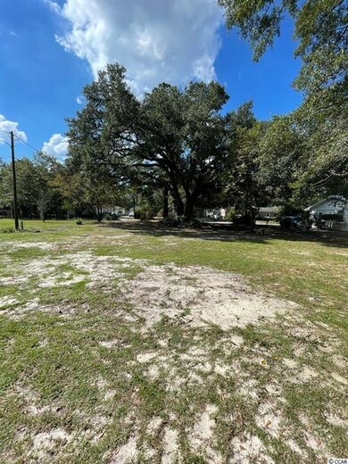 402 Rufus St, Conway, SC 29527 - photo 2