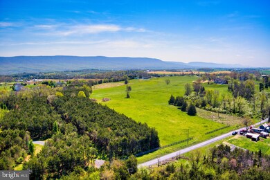 TBD Hamburg Rd, Edinburg, VA 22824 - photo 7