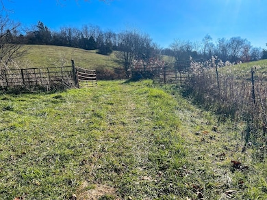 8100 US Hwy 62, Cynthiana, KY 41031 - photo 7