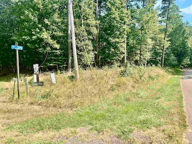 38 Cr 329 Rd, Counce, TN 38326 - photo 3