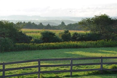 View from backyard