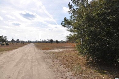 465 McNabb Short Cut Rd, Loris, SC 29569 - photo 6