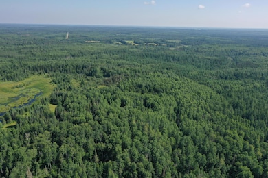 8124 Virginia Ely Rd, Babbitt, MN 55706 - photo 6