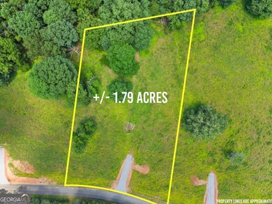 0 Arthur Allen Rd unit 10646087, Cleveland, GA 30528 - photo 2