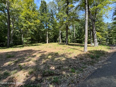 1193 Patriots Landing Ln, Falls of Rough, KY 40119 - photo 5