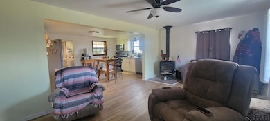 221 E Cedar St, Walsenburg, CO 81089 - photo 5