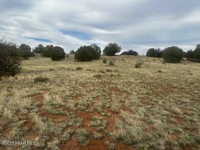 Lot 382se Gable Ave, Seligman, AZ 86337 - photo 7
