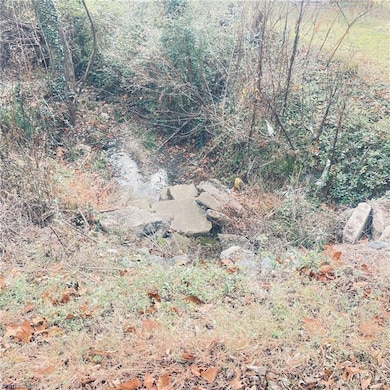 0 1st St, Eden, NC 27288 - photo 2