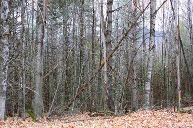 0 Darling Hill Rd unit 4691630, Burke, VT 05832 - photo 4