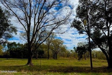 0 Tbd 5th Street (Tract 3), Iota, LA 70543 - photo 5